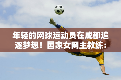 以法国新星