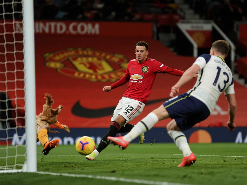 多的期待与 多的期待与